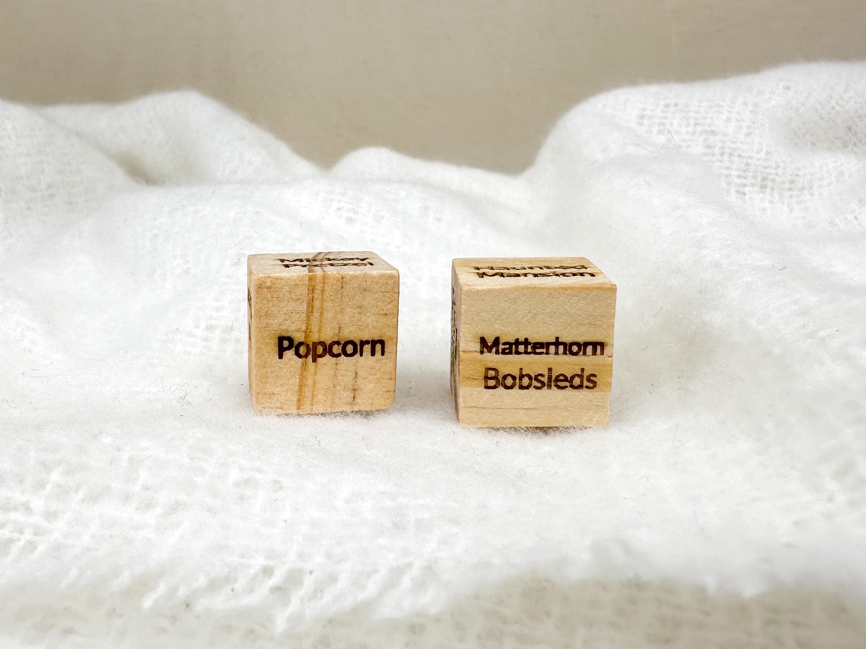 Park Pair Dice Set for Disney Park Trips | Game to Add Surprise for Disneyland Vacations